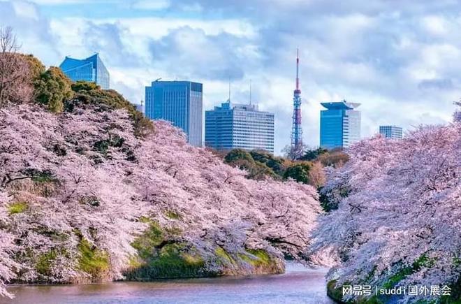 2024日本东京国际五金劳保展览会TOOLJAPAN(图2)