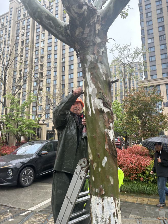 如皋住建这么干！(图10)