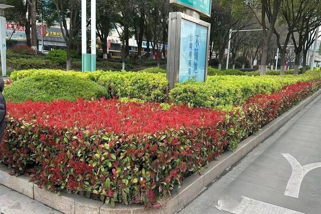 如皋住建这么干！(图8)