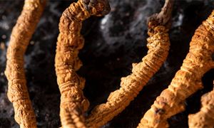 2024水力发电行业发展现状及企业格局分析(图4)