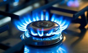 2024发电设备行业深度分析发电设备将更加注重环保和可持续发展(图2)