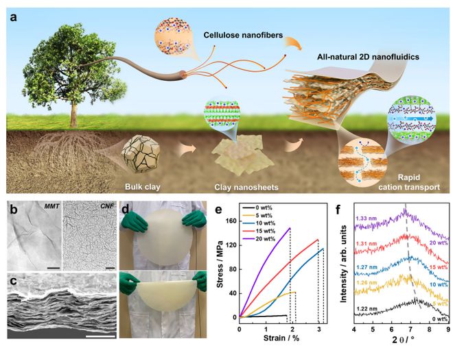 科学家制备黏土基二维纳流体膜实现长达30天的盐差能发电渗透能输出功率达861W每平方米(图2)