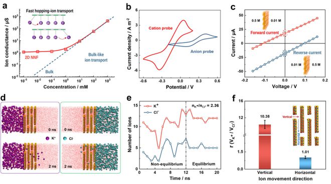 科学家制备黏土基二维纳流体膜实现长达30天的盐差能发电渗透能输出功率达861W每平方米(图5)