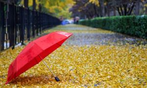 2024中国发电机产业现状及产业链供需布局分析(图7)