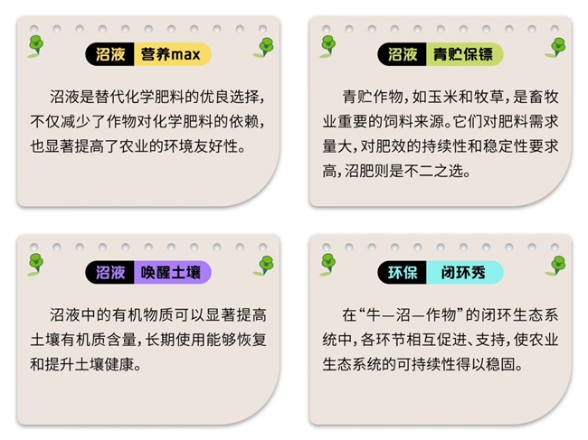 合肥牧场:减“肥”降碳为地球美好环境“添”绿(图3)