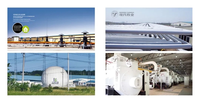 合肥牧场:减“肥”降碳为地球美好环境“添”绿(图2)