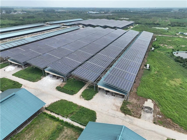 合肥牧场:减“肥”降碳为地球美好环境“添”绿(图4)