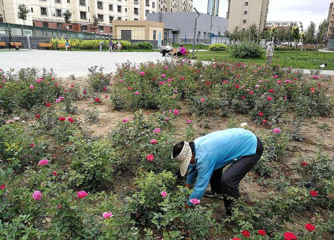 从挫折到巅峰：2024黄仁勋在加州理工学院毕业典礼上的励志演讲(图5)