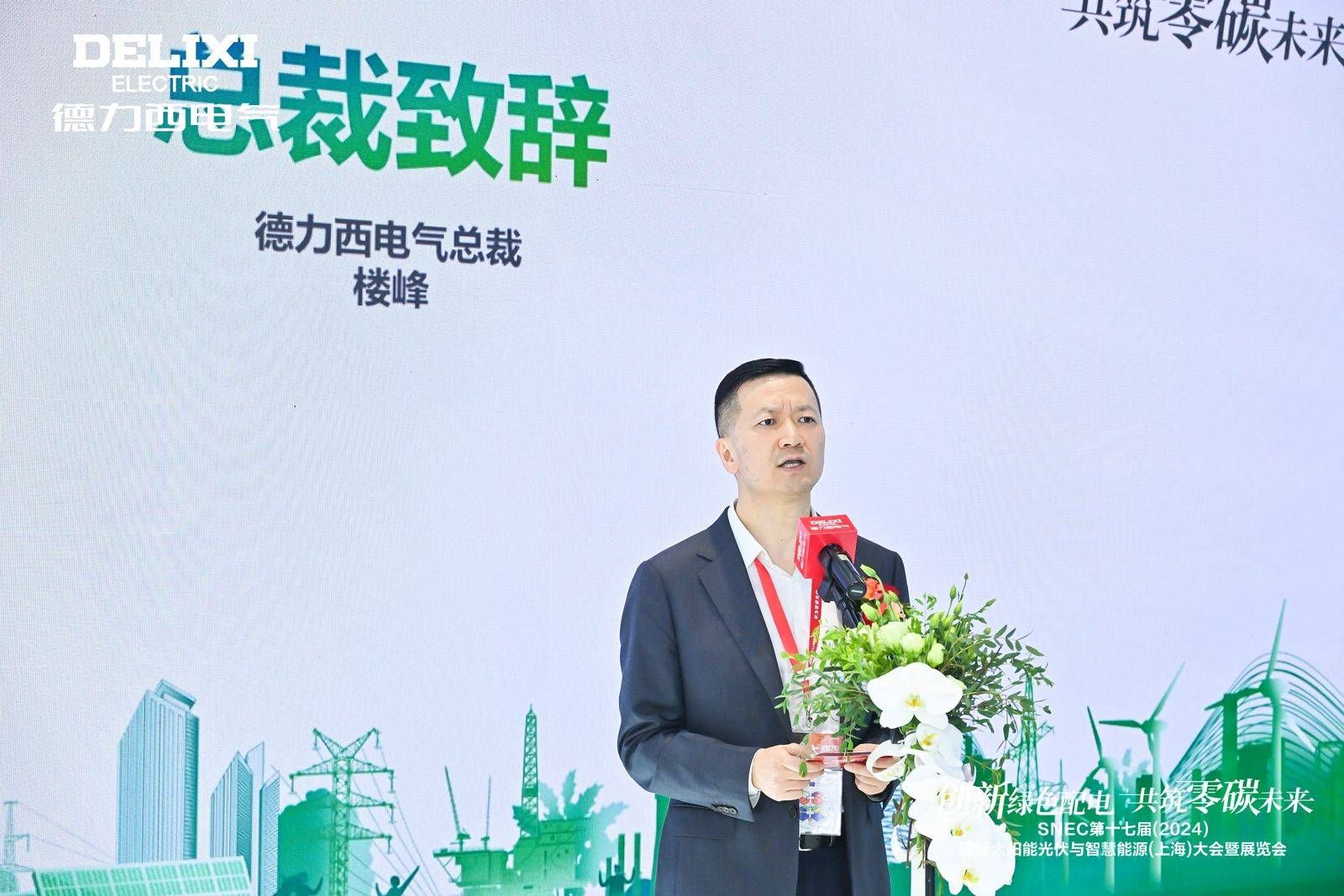 闪耀SNEC2024！德力西电气以实力开启“零碳之旅”(图2)