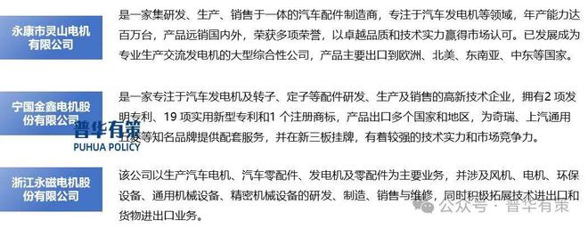 2024-2030年汽车发电机行业专项调研及投资前景预测分析报告(图3)