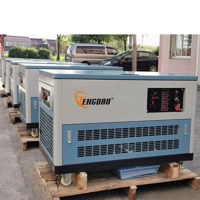 10KW静音式多燃料发电机TD10REG的全面分析(图2)