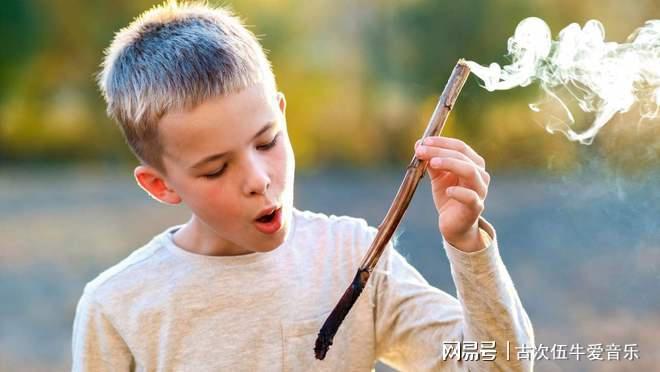 电磁脉冲与太阳风暴或致电网崩溃咋应对？(图4)