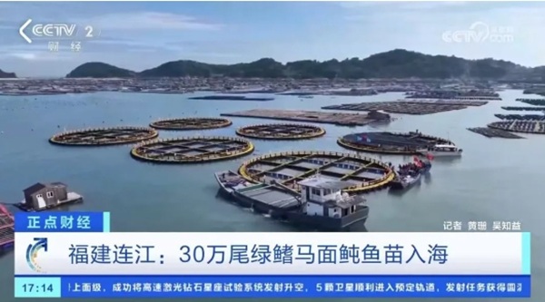 福建国资国企以实干为楫持续深化国资国企改革(图17)