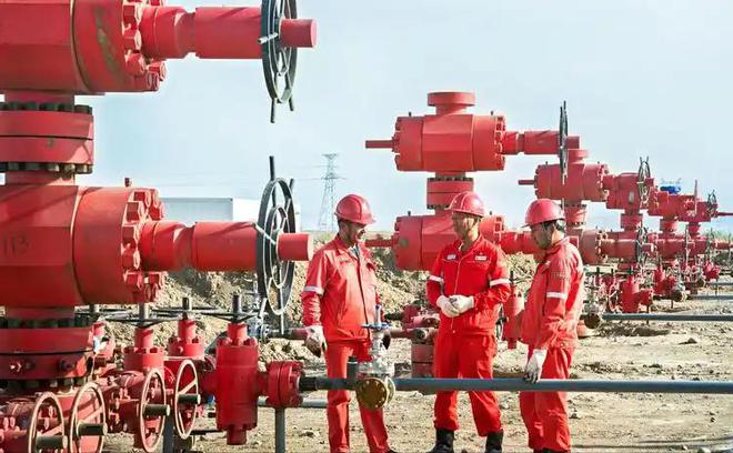 中国发现巨大“宝藏”！10个亿吨级油田超1000亿立方米天然气(图24)