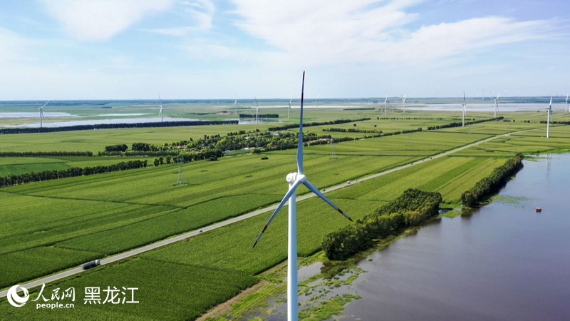 龙江新观察丨风电光伏双驱动龙江县瞄准县域经济“新赛道”(图1)