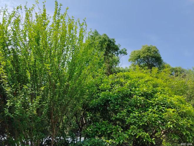 35岁的女人发生婚外情有了一次就会有很多次(图3)