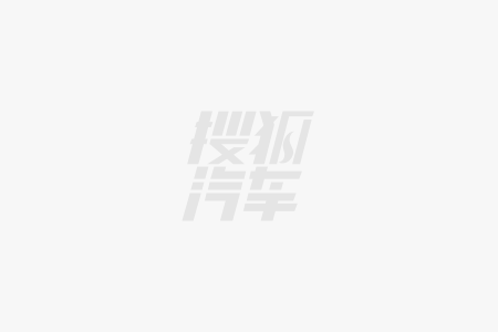 技术趋势：别被“油电两开花”骗了终局就是纯电(图2)