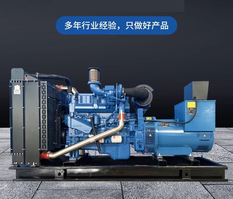 安阳内黄发电机租赁诚实守信一览表2024动态(图1)