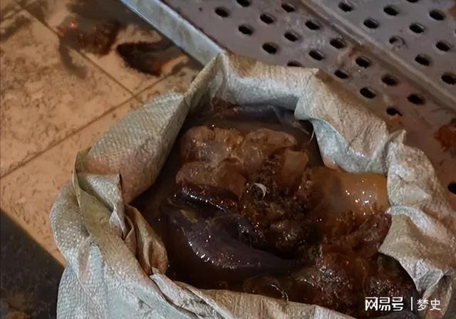 1斤能卖上百元！2024年浙江电厂被无数只入侵员工一天抓10多吨(图10)