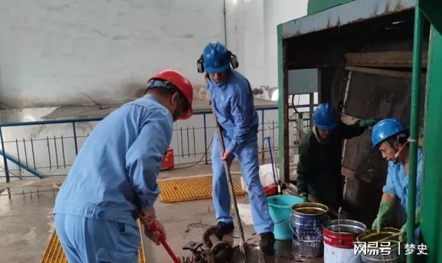 1斤能卖上百元！2024年浙江电厂被无数只入侵员工一天抓10多吨(图6)