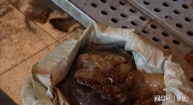 1斤能卖上百元！2024年浙江电厂被无数只入侵员工一天抓10多吨(图2)