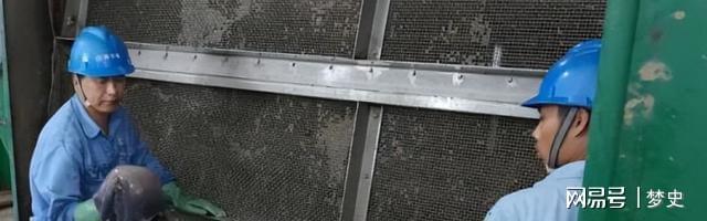 1斤能卖上百元！2024年浙江电厂被无数只入侵员工一天抓10多吨(图5)