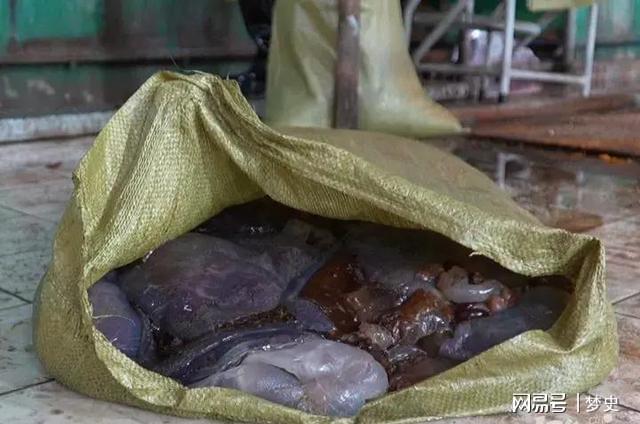 1斤能卖上百元！2024年浙江电厂被无数只入侵员工一天抓10多吨(图1)