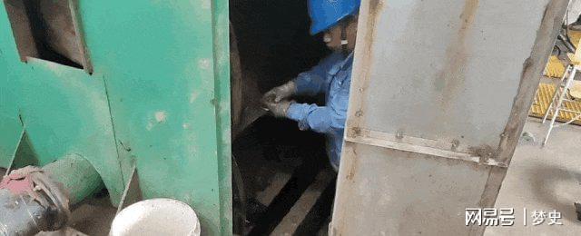 1斤能卖上百元！2024年浙江电厂被无数只入侵员工一天抓10多吨(图7)