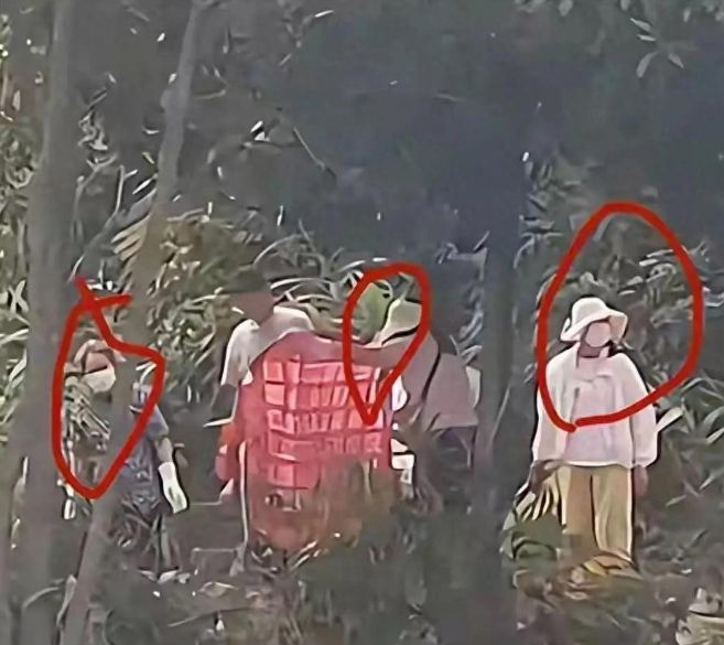 水库放猫后续:多部门介入放生团伙果然不单纯完整产业链被扒(图1)