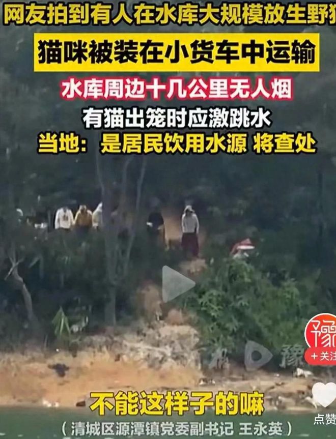水库放猫后续:多部门介入放生团伙果然不单纯完整产业链被扒(图4)