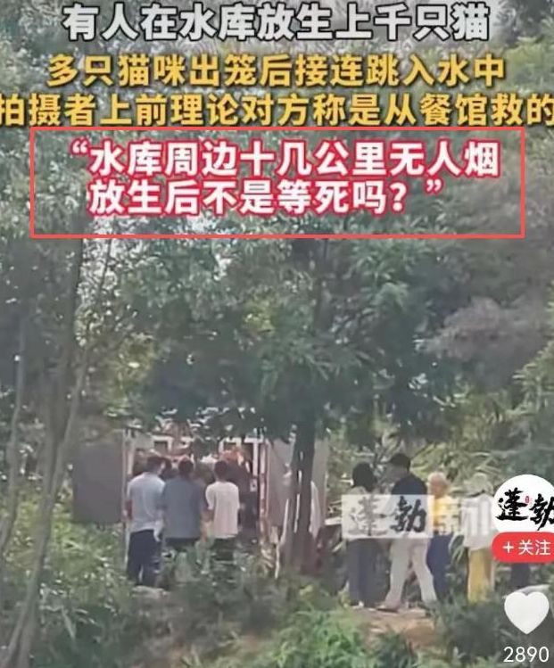 水库放猫后续:多部门介入放生团伙果然不单纯完整产业链被扒(图6)
