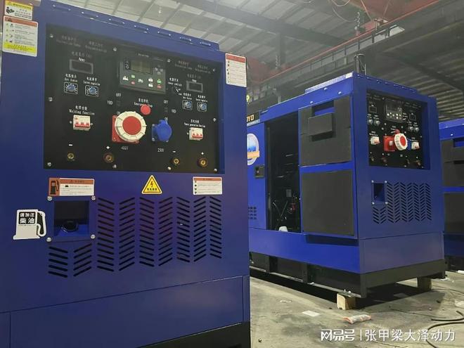 大泽动力柴油发电焊接机组(图1)