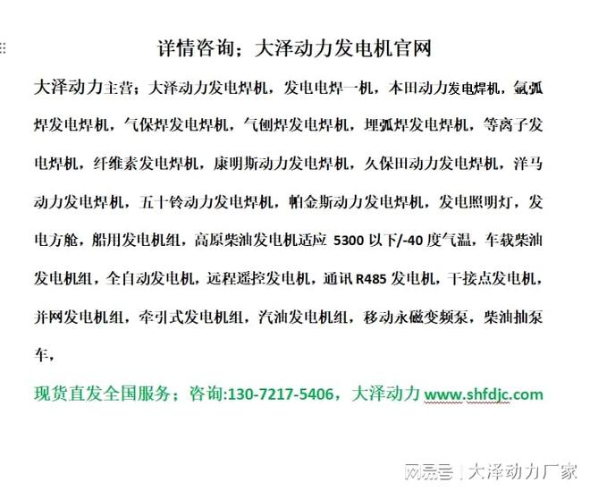 大泽动力柴油发电机灯塔(图2)